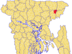 Police Block Opposition Convoy: NCP Leaders Stopped Twice Near Habiganj