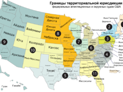 Appeals Court Upholds Ban on $100,000 H-1B Visa Charge