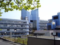 Dream of Studying Abroad? Many Universities Now Skip IELTS Test