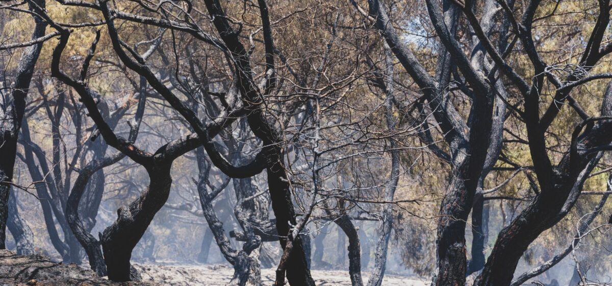 Spain Wildfire Leaves Vast Area Scorched, Thousands Displaced