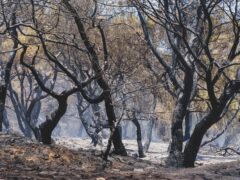 Spain Wildfire Leaves Vast Area Scorched, Thousands Displaced