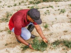 Beyond the Field: Why Farmer Health is a Crucial Ingredient for Food Security