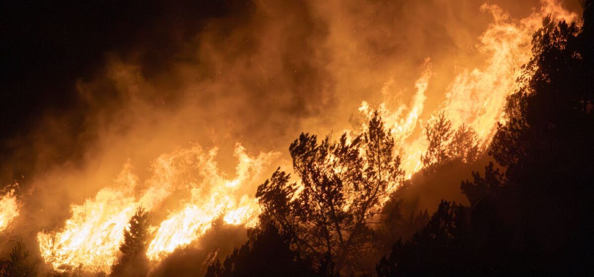 Europe Faces Unprecedented Wildfire Threat Amid Scorching Heat