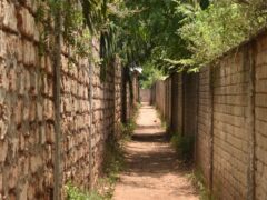 Kenya’s Quiet Guardians: Volunteers Hunt Polio’s Hidden Path