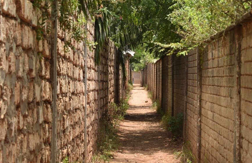 Kenya’s Quiet Guardians: Volunteers Hunt Polio’s Hidden Path