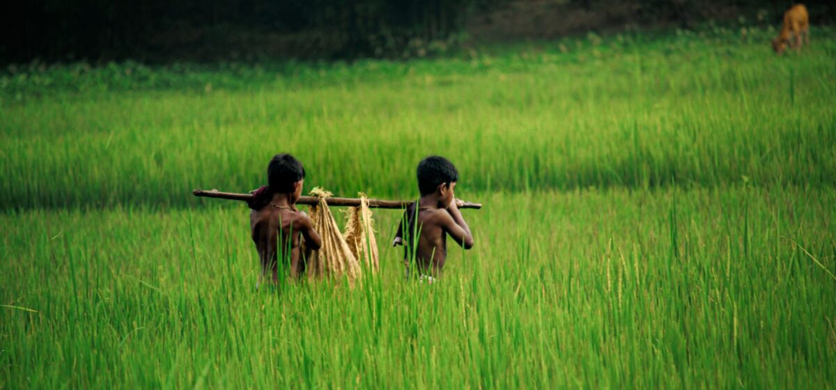 Hope Floats: Sylhet Children Navigate Inundated Lands for Education