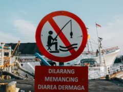 Trump Administration Lifts Historic Fishing Bans, Overhauls Seafood Regulations
