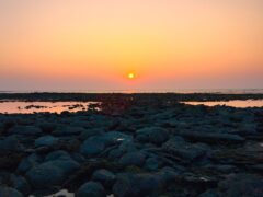 St Martin’s Island: Nature Blooms, But Locals Face Hardship