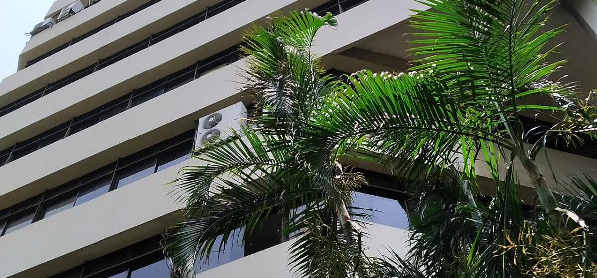 Grameen Bank Celebrates 50 Years with Massive 1 Crore Tree Planting Project