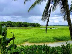 Mystery Explosion Hurts Three, Child Among Injured in Barishal